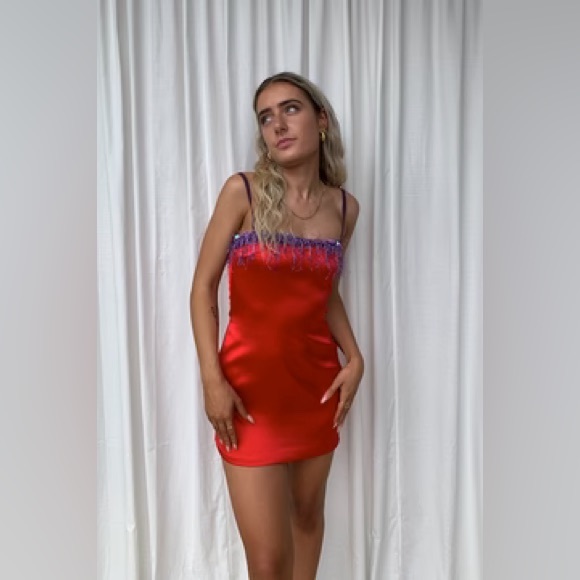 Danielle Guizio -Beaded Mini Dress - Picture 4 of 5